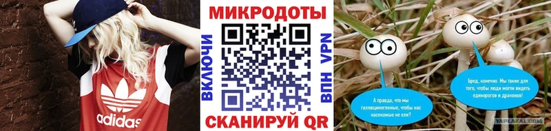 Купить  Прохладный  Галлюциногенные грибы Magic Shrooms 